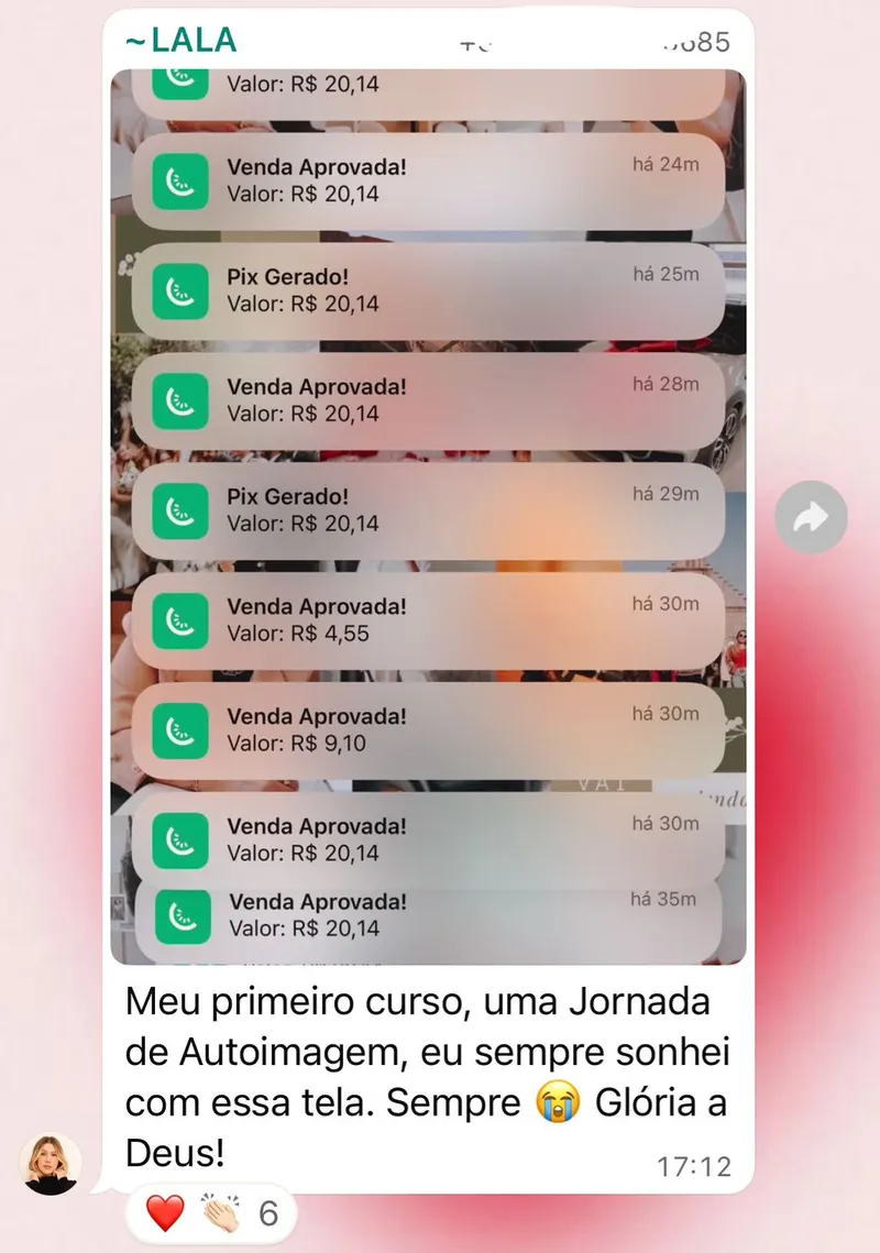 Print das vendas aprovadas da Lala no primeiro curso
